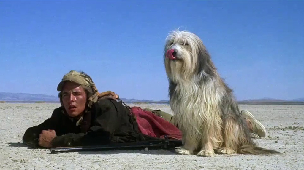 Un muchacho y su perro